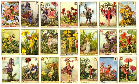 The Flower Fairy Shop – Original Vintage Flower Fairy Prints