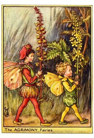 Agrimony Flower Fairy Vintage Print by Cicely Mary Barker