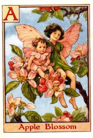 Apple Blossom Flower Fairy Vintage Print by Cicely Mary Barker