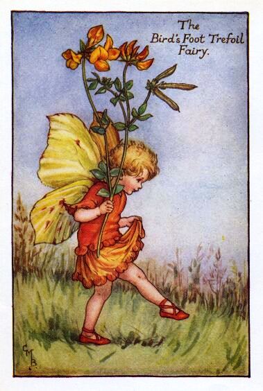 Bird's-Foot Trefoil Flower Fairy Print by Cicely Mary Barker