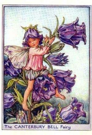 Tulip Flower Fairy Vintage Print Cicely Mary Barker The Flower Fairy Shop