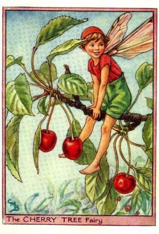 Cherry Tree Flower Fairy Vintage Print by Cicely Mary Barker