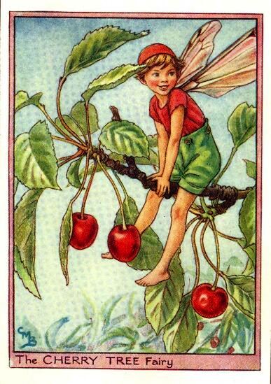 Cherry Tree Flower Fairy Vintage Print by Cicely Mary Barker