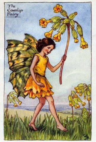 Cowslip Flower Fairy Vintage Print by Cicely Mary Barker