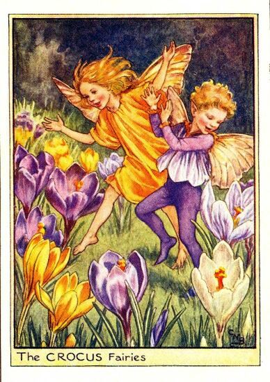 Crocus Flower Fairy Vintage Print by Cicely Mary Barker