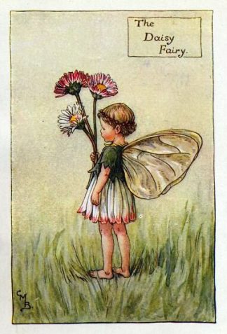 Daisy Flower Fairy Vintage Print by Cicely Mary Barker