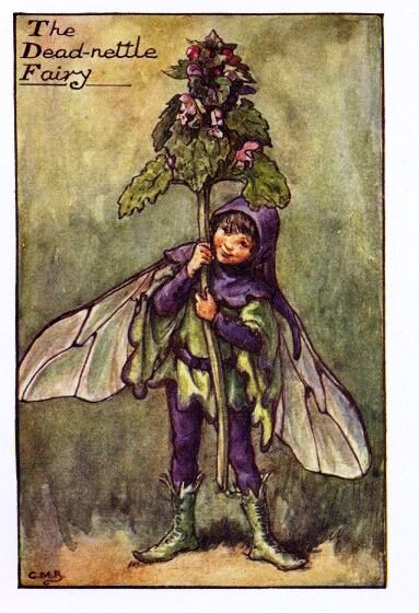 Dead-nettle Flower Fairy Vintage Print by Cicely Mary Barker