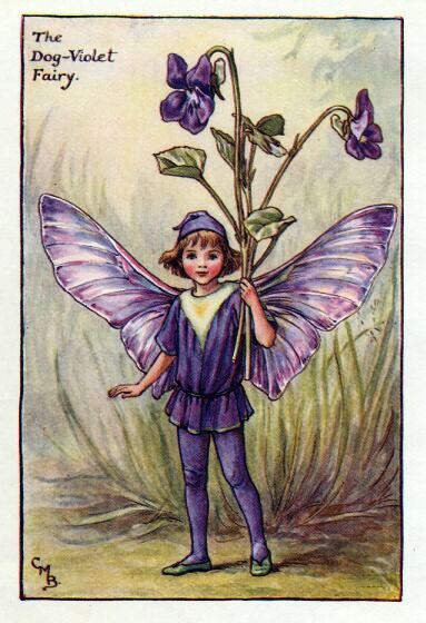 Dog-Violet Flower Fairy Vintage Print by Cicely Mary Barker