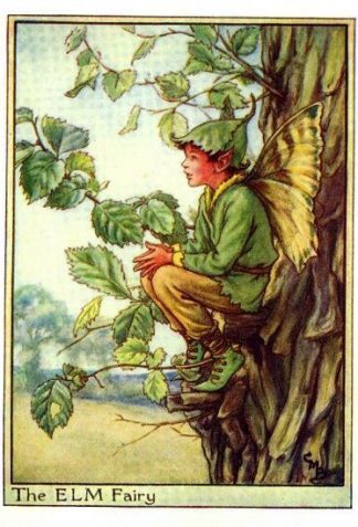 Elm Tree Flower Fairy Vintage Print by Cicely Mary Barker