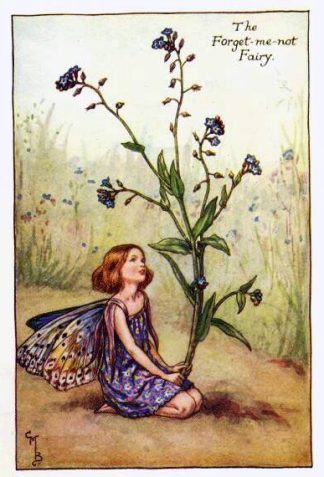 Forget-me-Not Summer Flower Fairy Vintage Print by Cicely Mary Barker