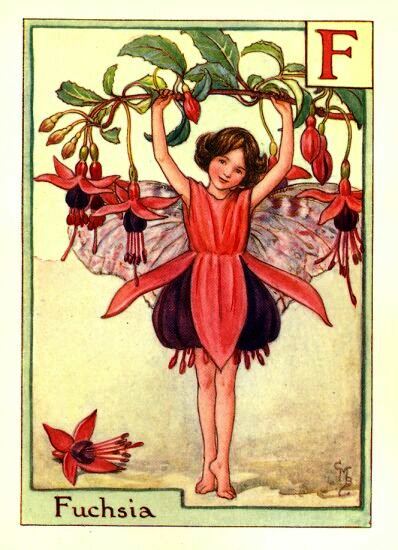 Fuchsia Flower Fairy Vintage Print by Cicely Mary Barker