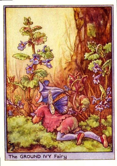 Ground Ivy Flower Fairy Vintage Print by Cicely Mary Barker