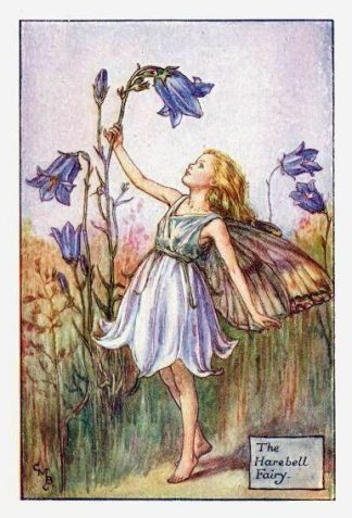 Harebell Flower Fairy Vintage Print by Cicely Mary Barker