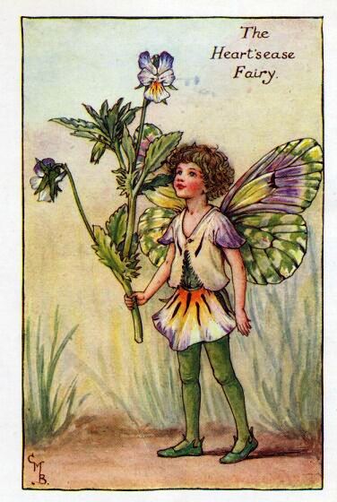 Heart'sease Flower Fairy Vintage Print by Cicely Mary Barker
