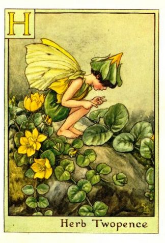Herb Twopence Flower Fairy Vintage Print by Cicely Mary Barker