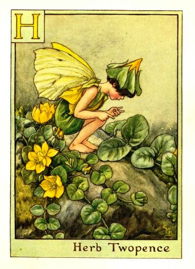 Herb Twopence Flower Fairy Vintage Print by Cicely Mary Barker