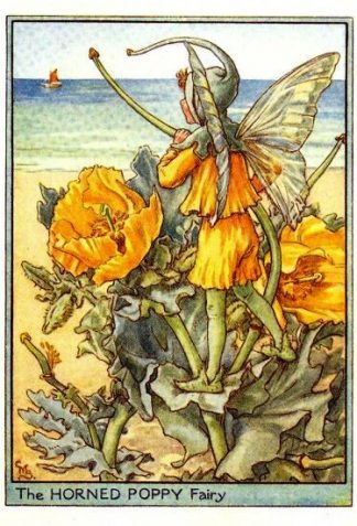 Horned Poppy Flower Fairy Vintage Print by Cicely Mary Barker