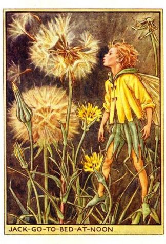 Jack-go-to-Bed-at-Noon Flower Fairy Vintage Print by Cicely Mary Barker