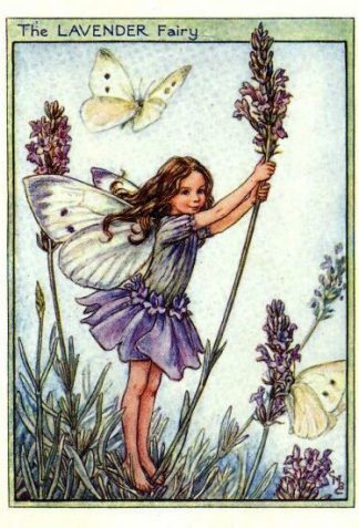 Lavender Flower Fairy Vintage Print by Cicely Mary Barker