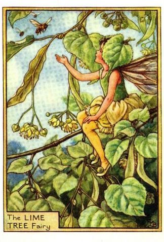 Lime Tree Flower Fairy Vintage Print by Cicely Mary Barker