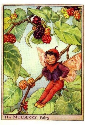 Mulberry Flower Fairy Vintage Print by Cicely Mary Barker