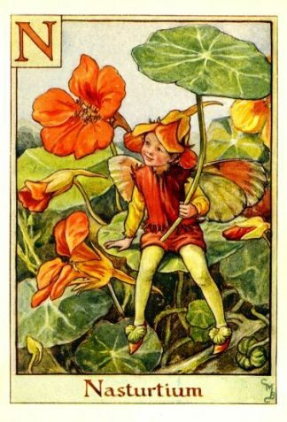 Nasturtium Flower Fairy Vintage Print by Cicely Mary Barker