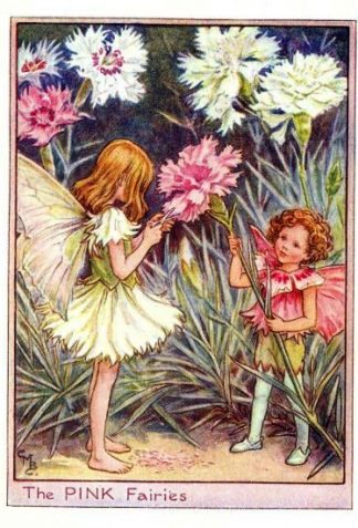 The Pink Flower Fairy Vintage Print by Cicely Mary Barker