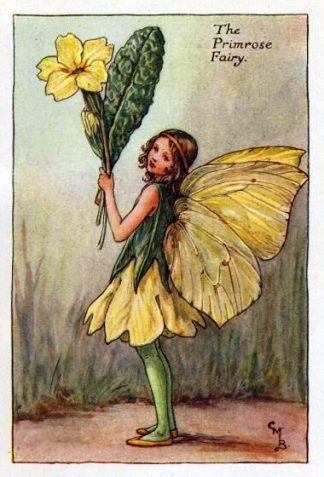 Primrose Flower Fairy Vintage Print by Cicely Mary Barker