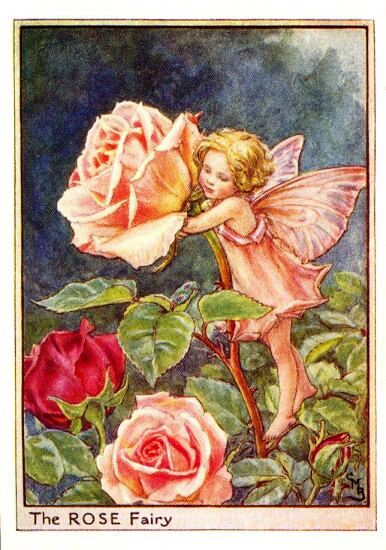 Rose Flower Fairy Vintage Print by Cicely Mary Barker