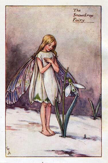 Snowdrop Flower Fairy Vintage Print by Cicely Mary Barker