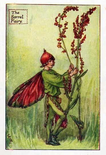 Sorrel Flower Fairy Vintage Print by Cicely Mary Barker
