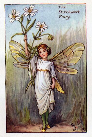 Stitchwort Flower Fairy Vintage Print by Cicely Mary Barker