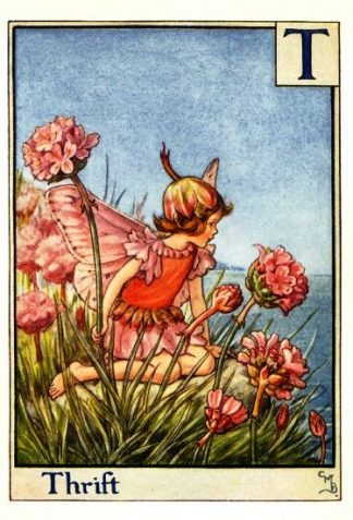 Thrift Flower Fairy Vintage Print by Cicely Mary Barker