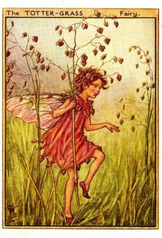 Totter-Grass Flower Fairy Vintage Print by Cicely Mary Barker