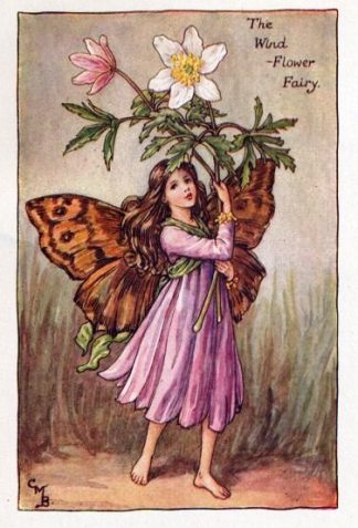 Wind-Flower Flower Fairy Vintage Print by Cicely Mary Barker
