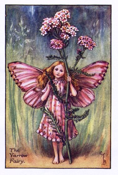 Yarrow Flower Fairy Vintage Print by Cicely Mary Barker