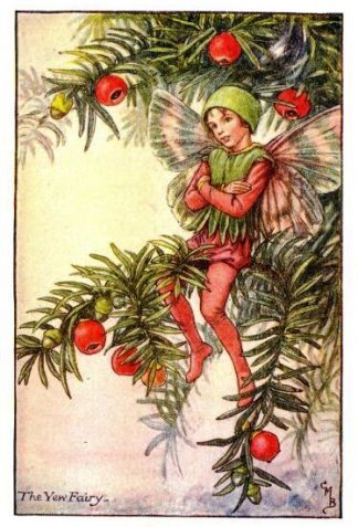 Yew Flower Fairy Vintage Print by Cicely Mary Barker