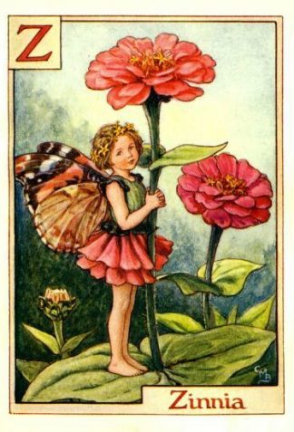 Zinnia Flower Fairy Vintage Print by Cicely Mary Barker