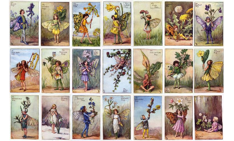 The Flower Fairy Shop – Original Vintage Flower Fairy Prints