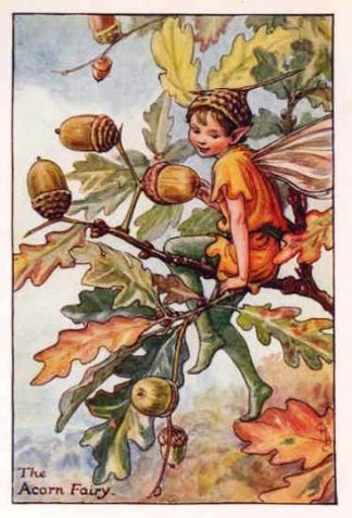 Acorn Flower Fairy Vintage Print by Cicely Mary Barker