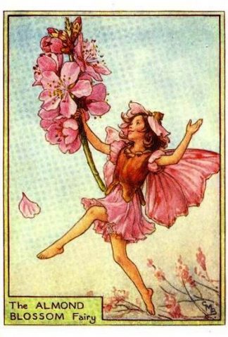 Almond Blossom Flower Fairy Vintage Print by Cicely Mary Barker