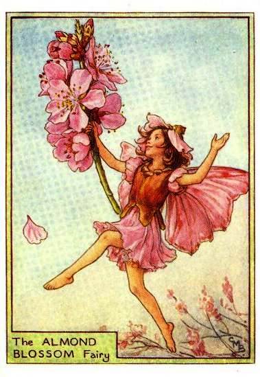 Almond Blossom Flower Fairy Vintage Print by Cicely Mary Barker