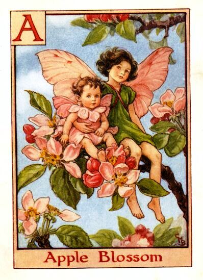 Apple Blossom Flower Fairy Vintage Print by Cicely Mary Barker