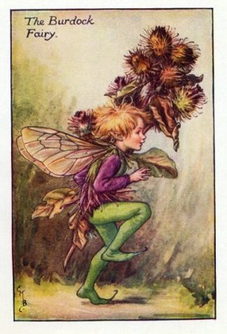 Burdock Flower Fairy Vintage Print by Cicely Mary Barker