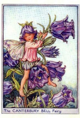 Canterbury Bell Flower Fairy Vintage Print by Cicely Mary Barker