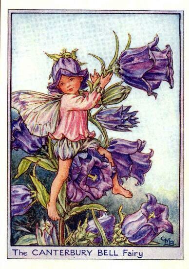 Canterbury Bell Flower Fairy Vintage Print by Cicely Mary Barker