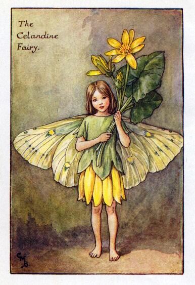 Celandine Flower Fairy Vintage Print by Cicely Mary Barker