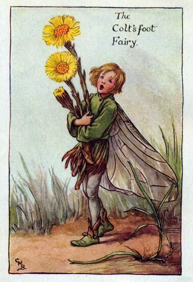 Colt'sfoot Flower Fairy Vintage Print by Cicely Mary Barker