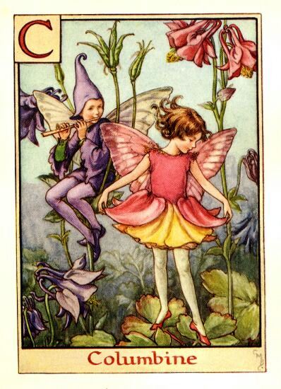 Columbine Flower Fairy Vintage Print by Cicely Mary Barker