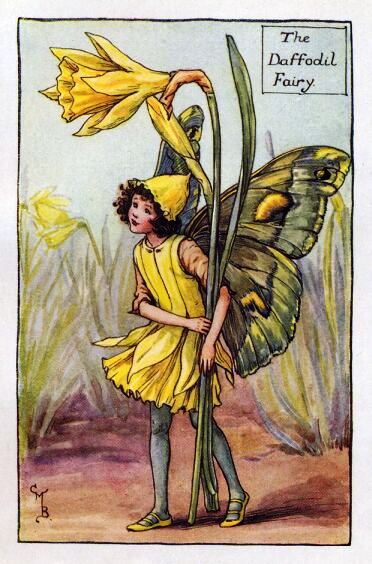 Daffodil Flower Fairy Vintage Print by Cicely Mary Barker